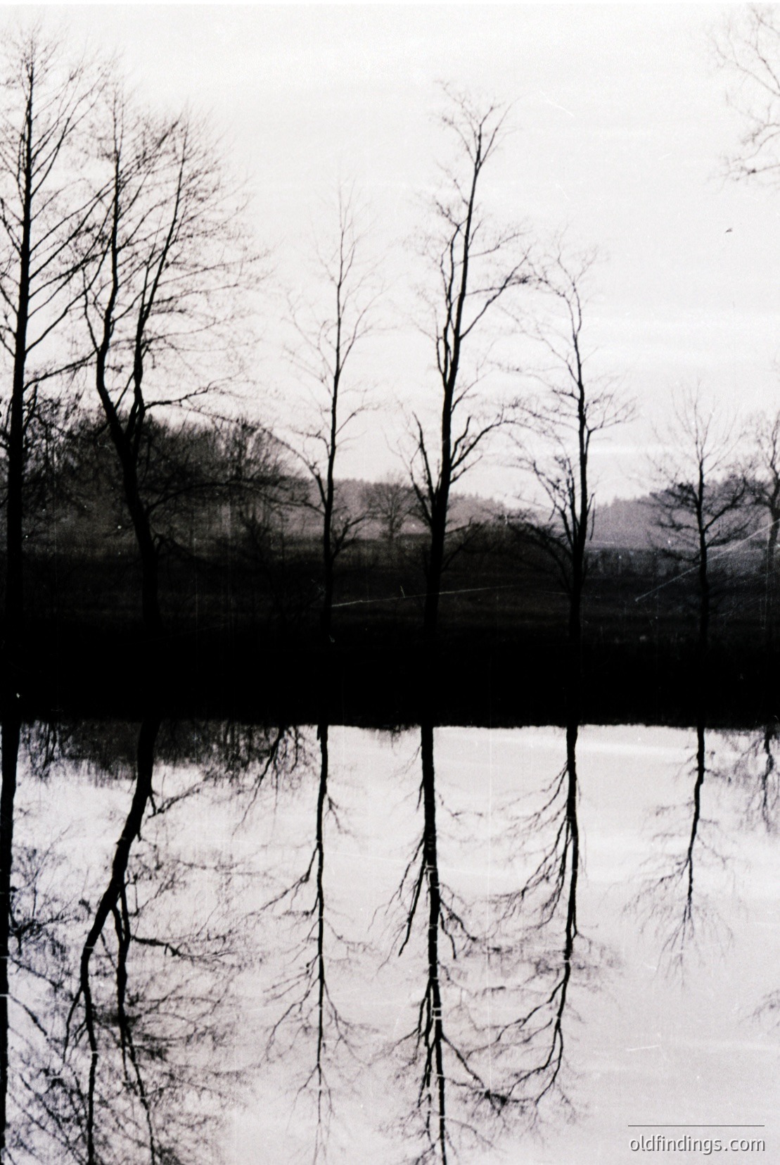 Vintage photograph