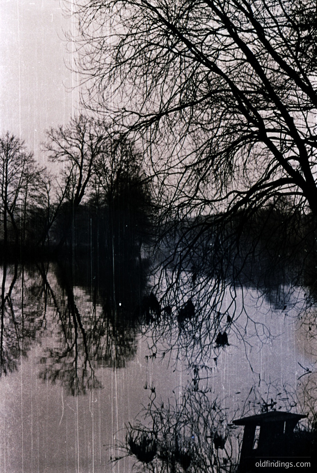 Vintage photograph