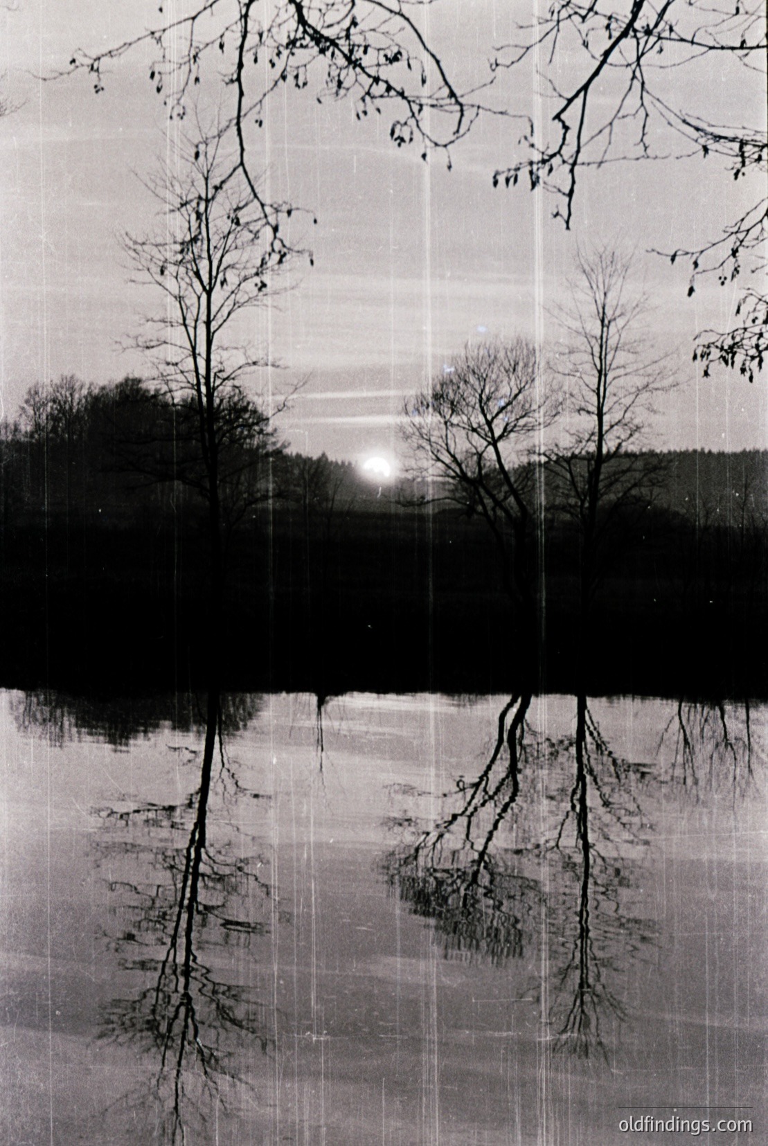 Vintage photograph