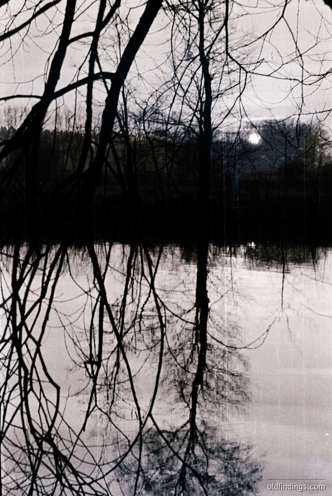 Vintage photograph