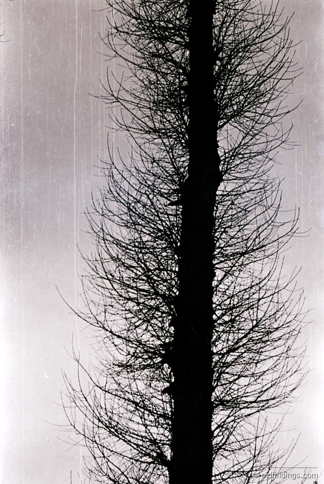 Vintage photograph