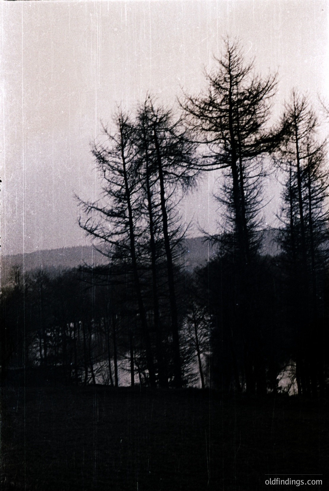 Vintage photograph