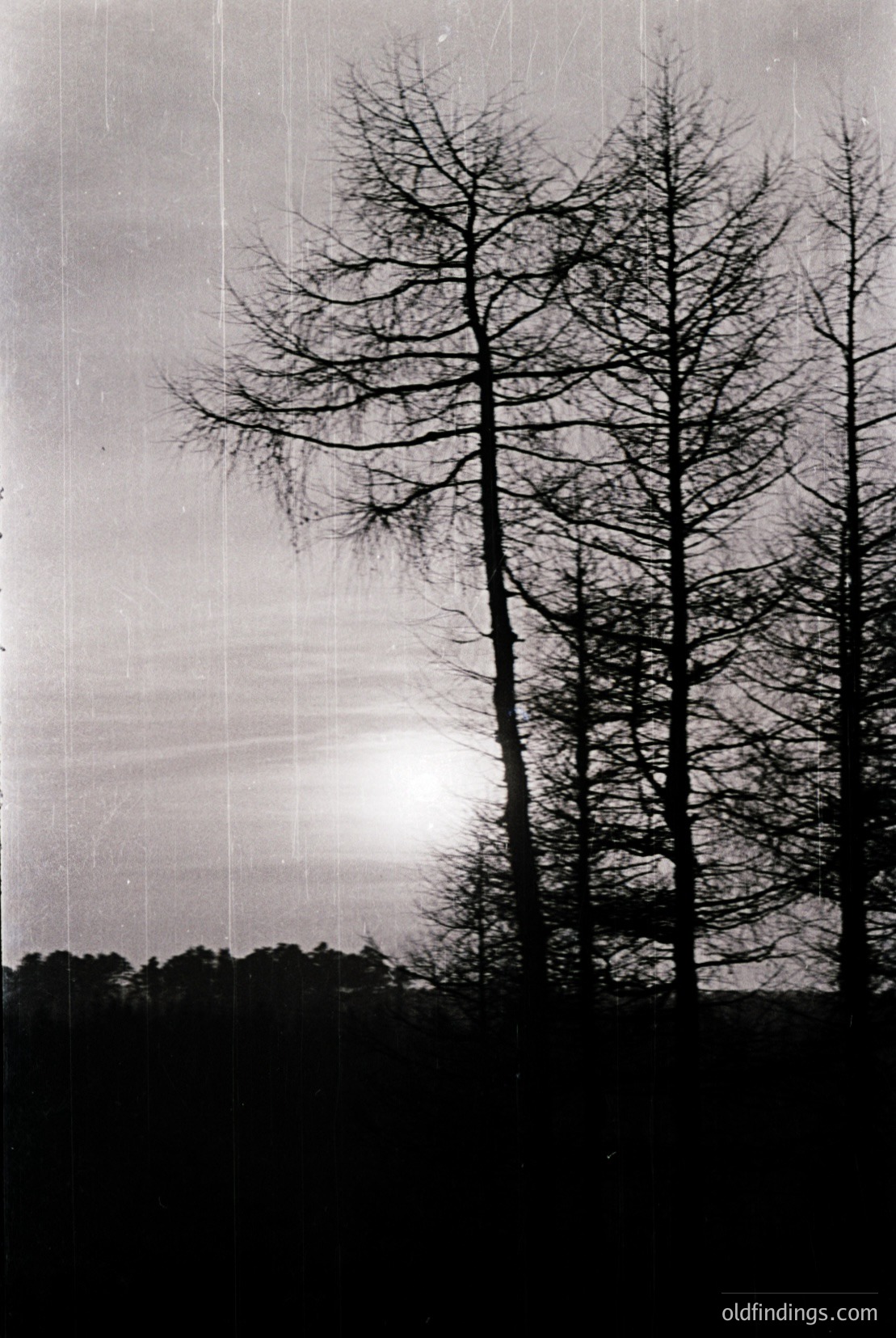 Vintage photograph
