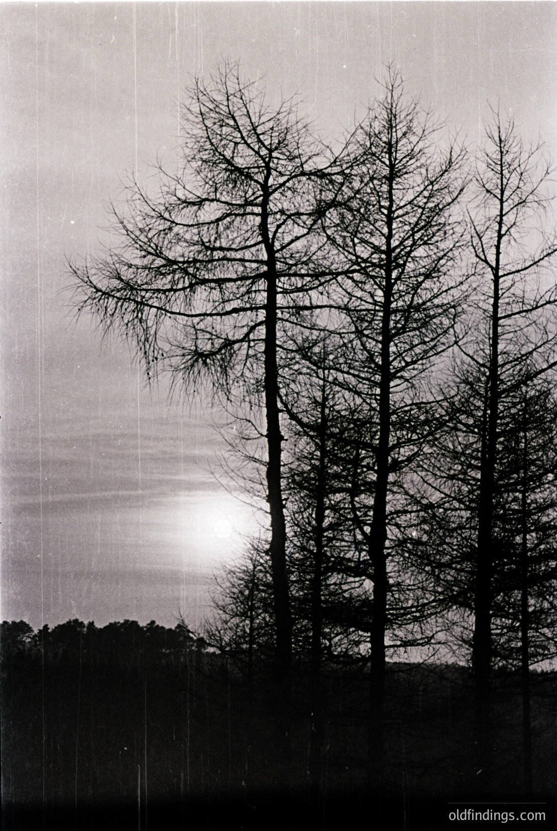 Vintage photograph
