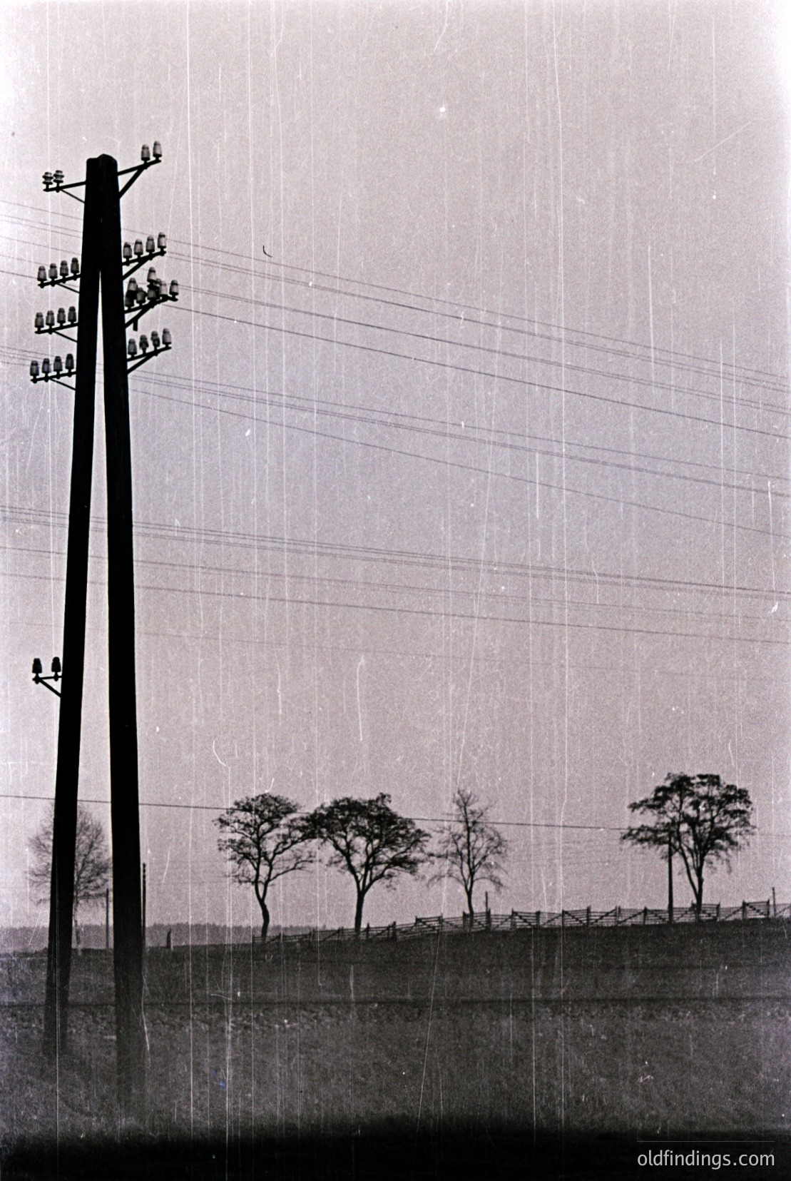 Vintage photograph