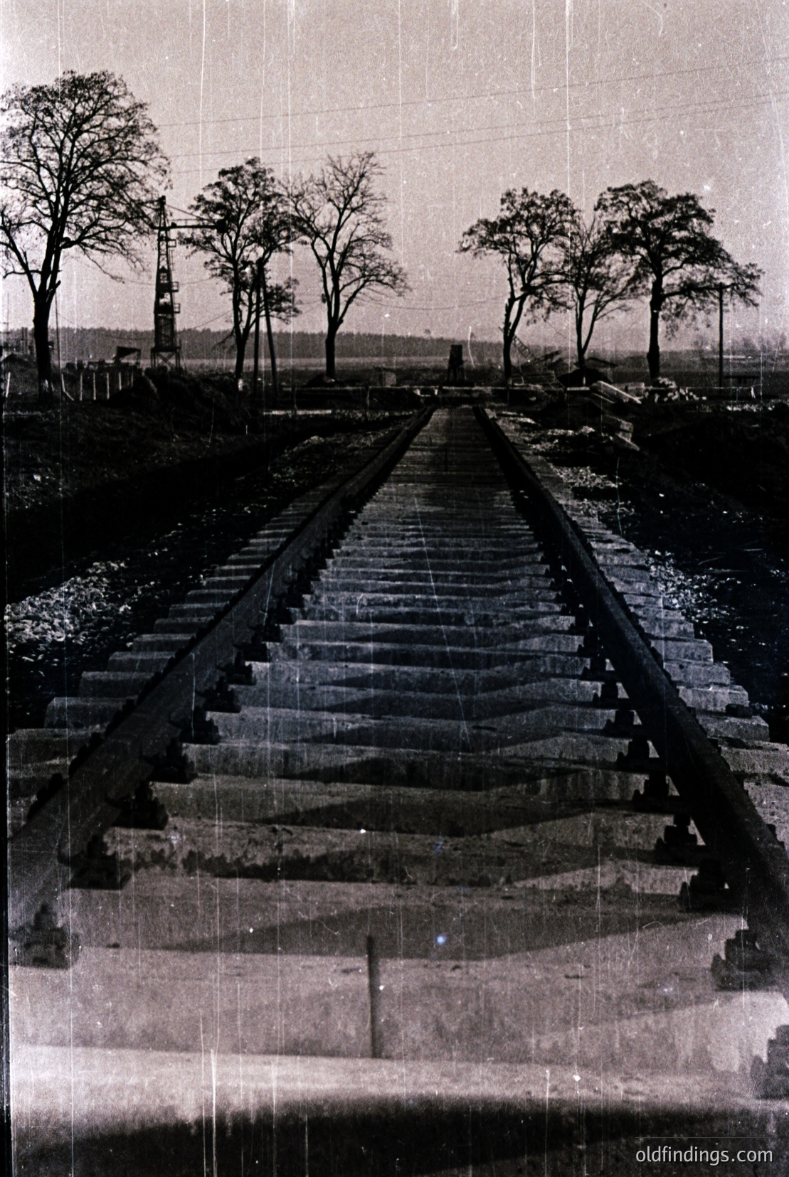 Vintage photograph