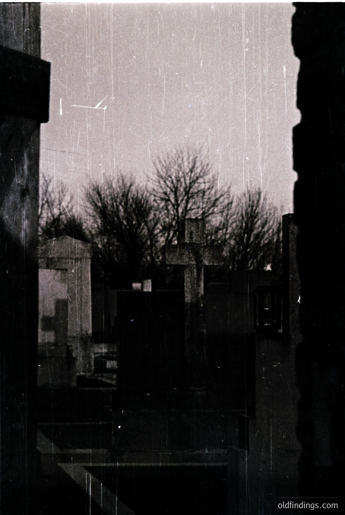 Vintage photograph