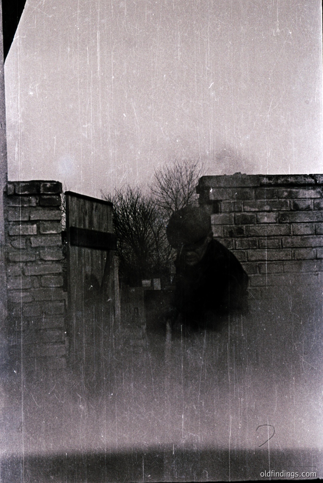 Vintage photograph