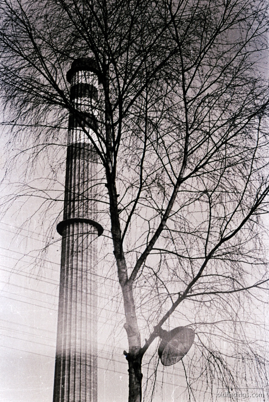 Vintage photograph