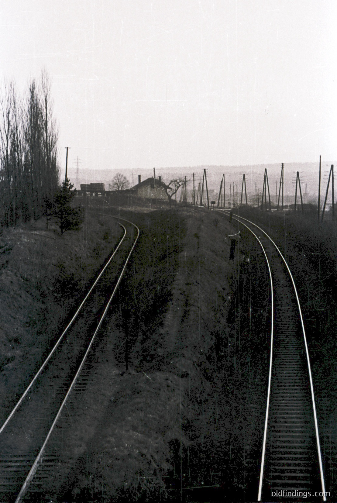 Vintage photograph