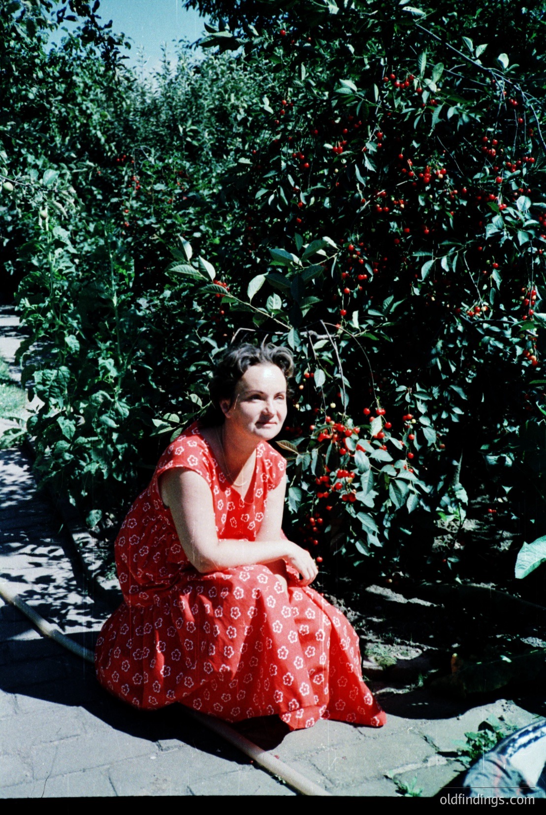 Vintage photograph