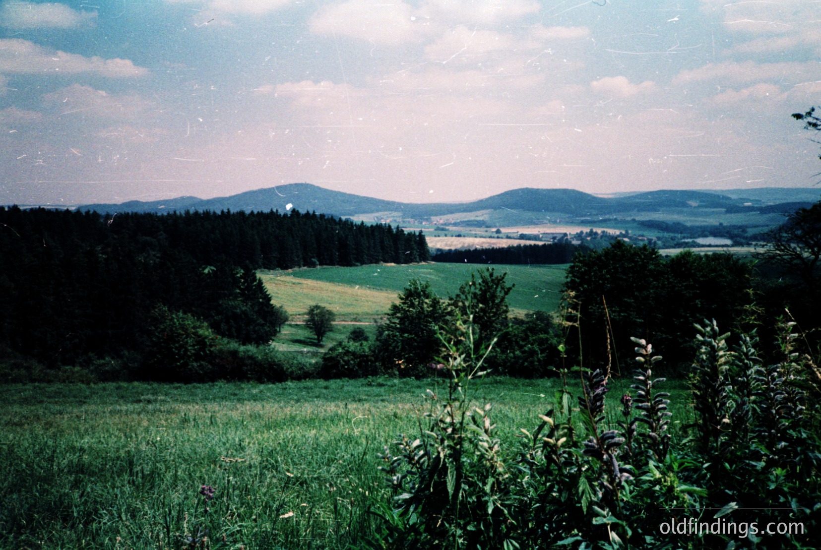 Vintage photograph