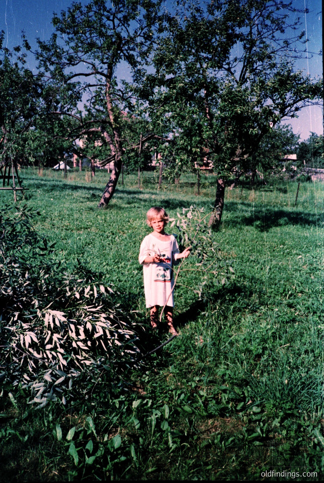 Vintage photograph