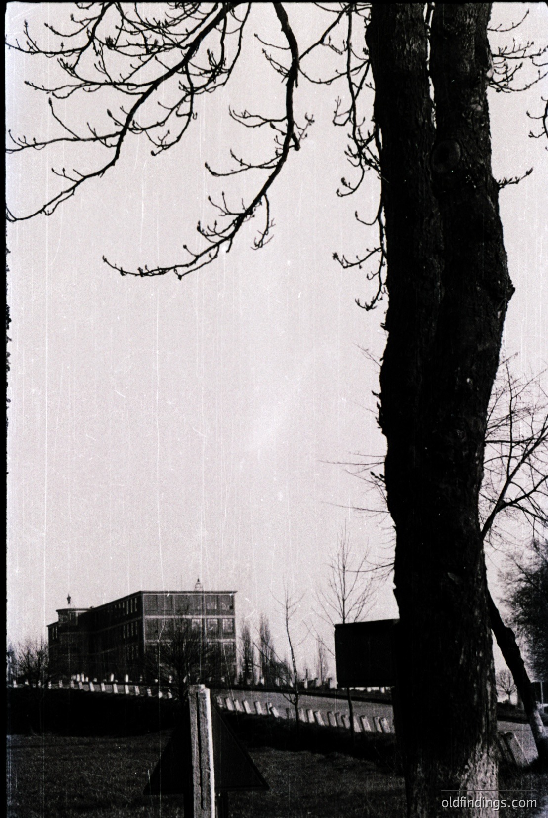 Vintage photograph