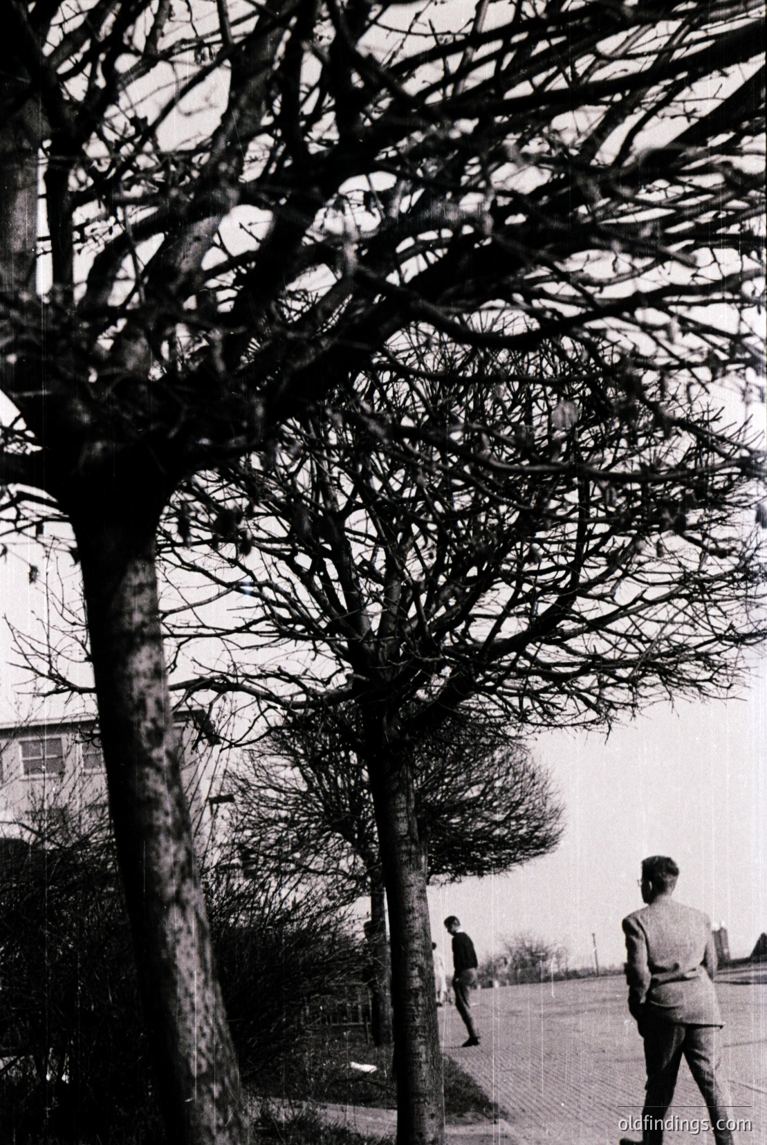 Vintage photograph