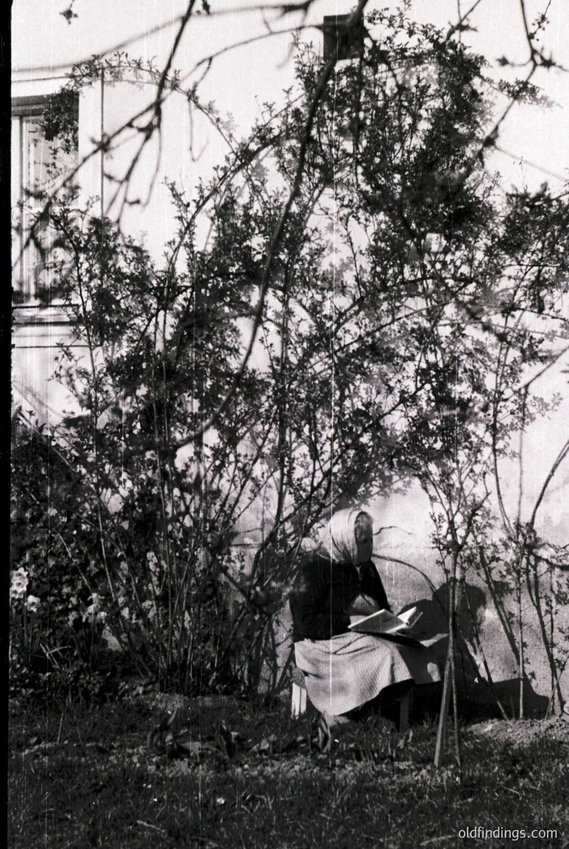 Vintage photograph