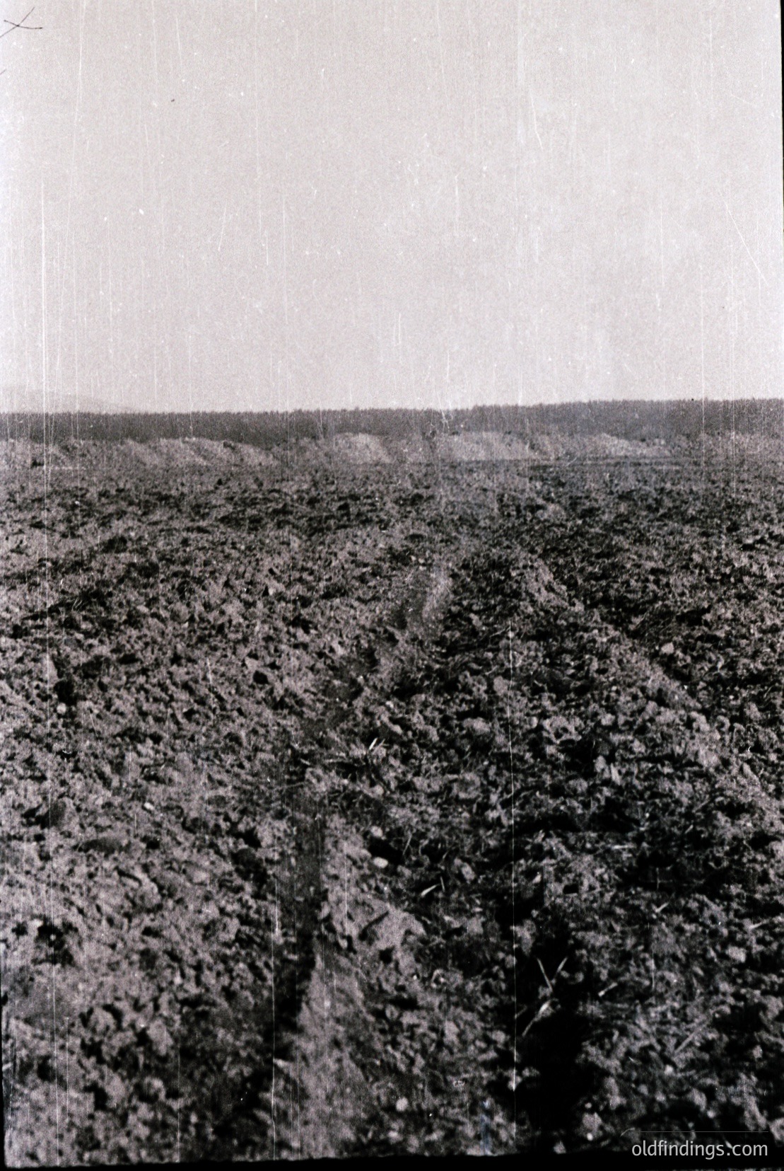 Vintage photograph