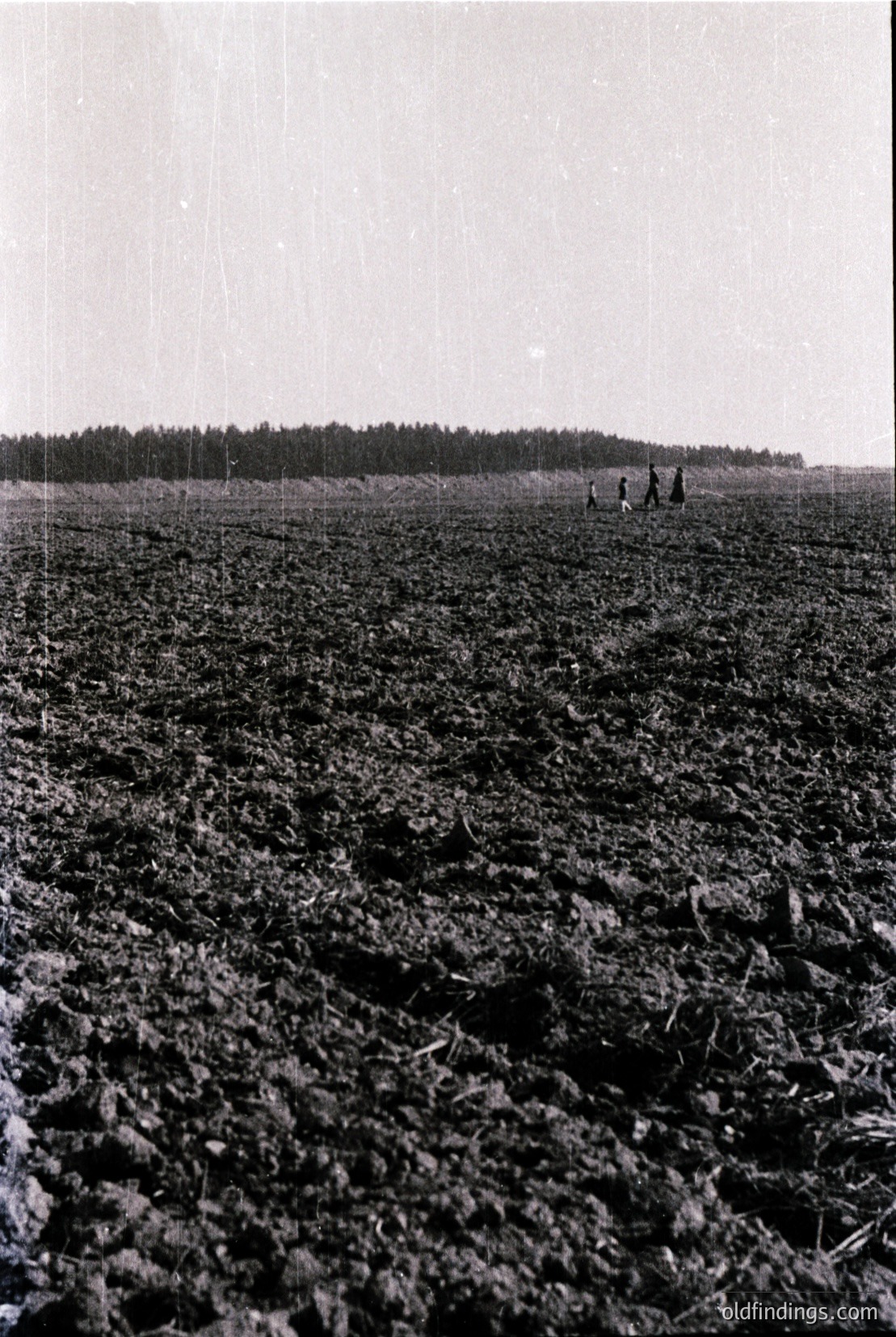 Vintage photograph