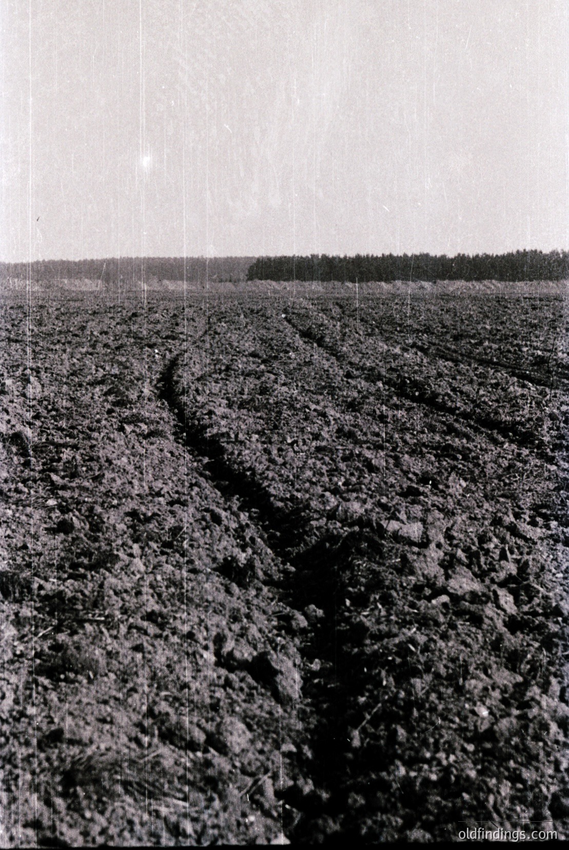 Vintage photograph
