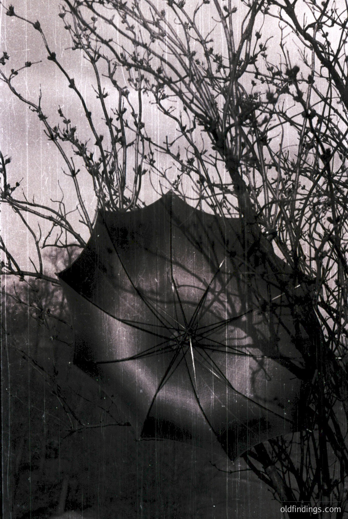 Vintage photograph