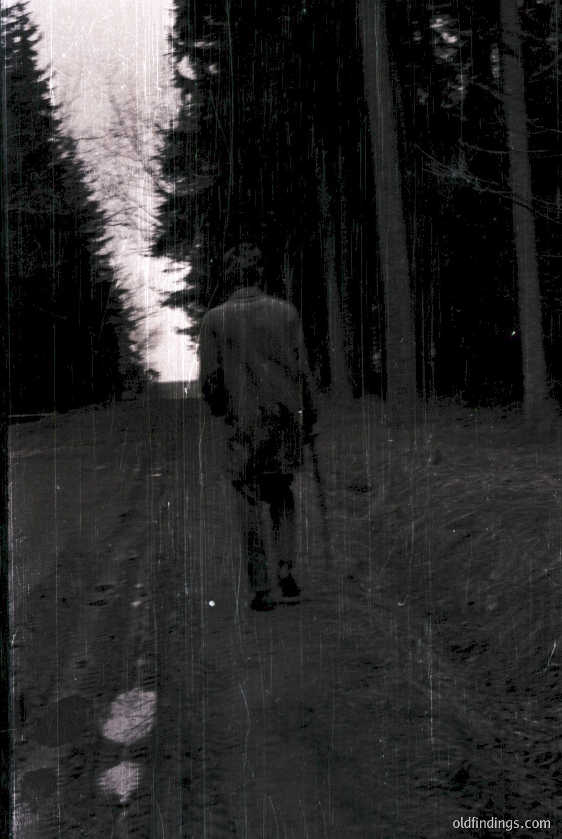 Vintage photograph