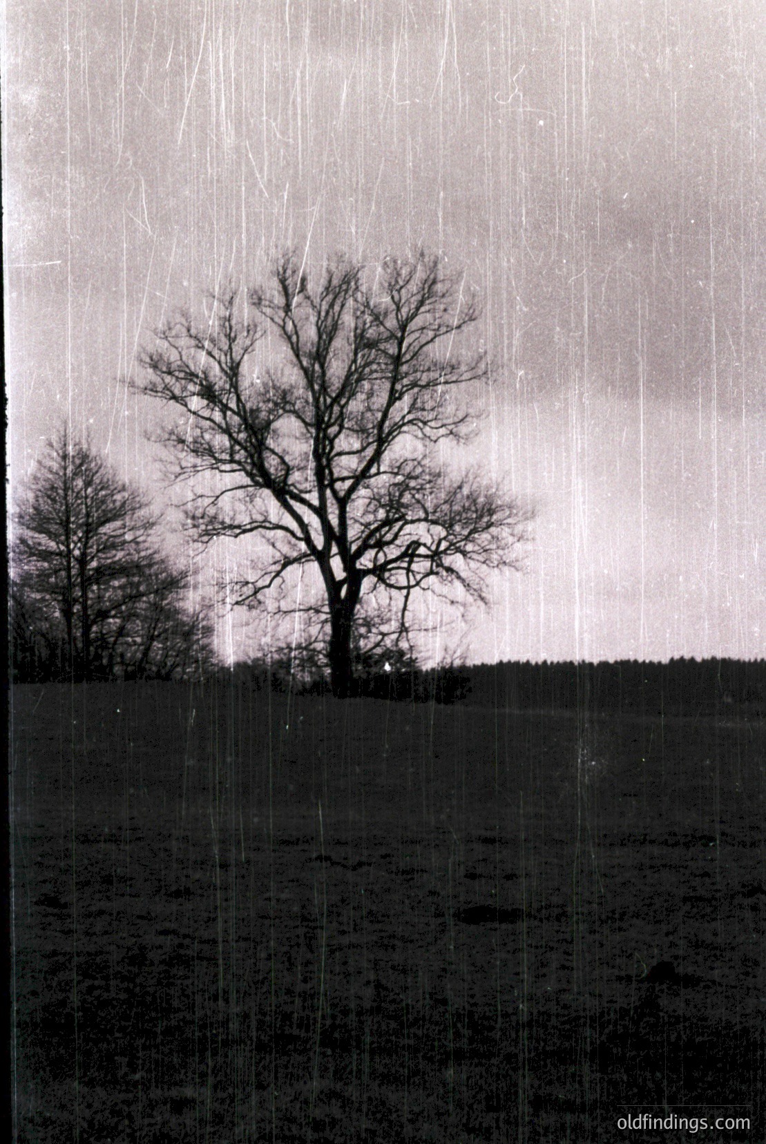 Vintage photograph