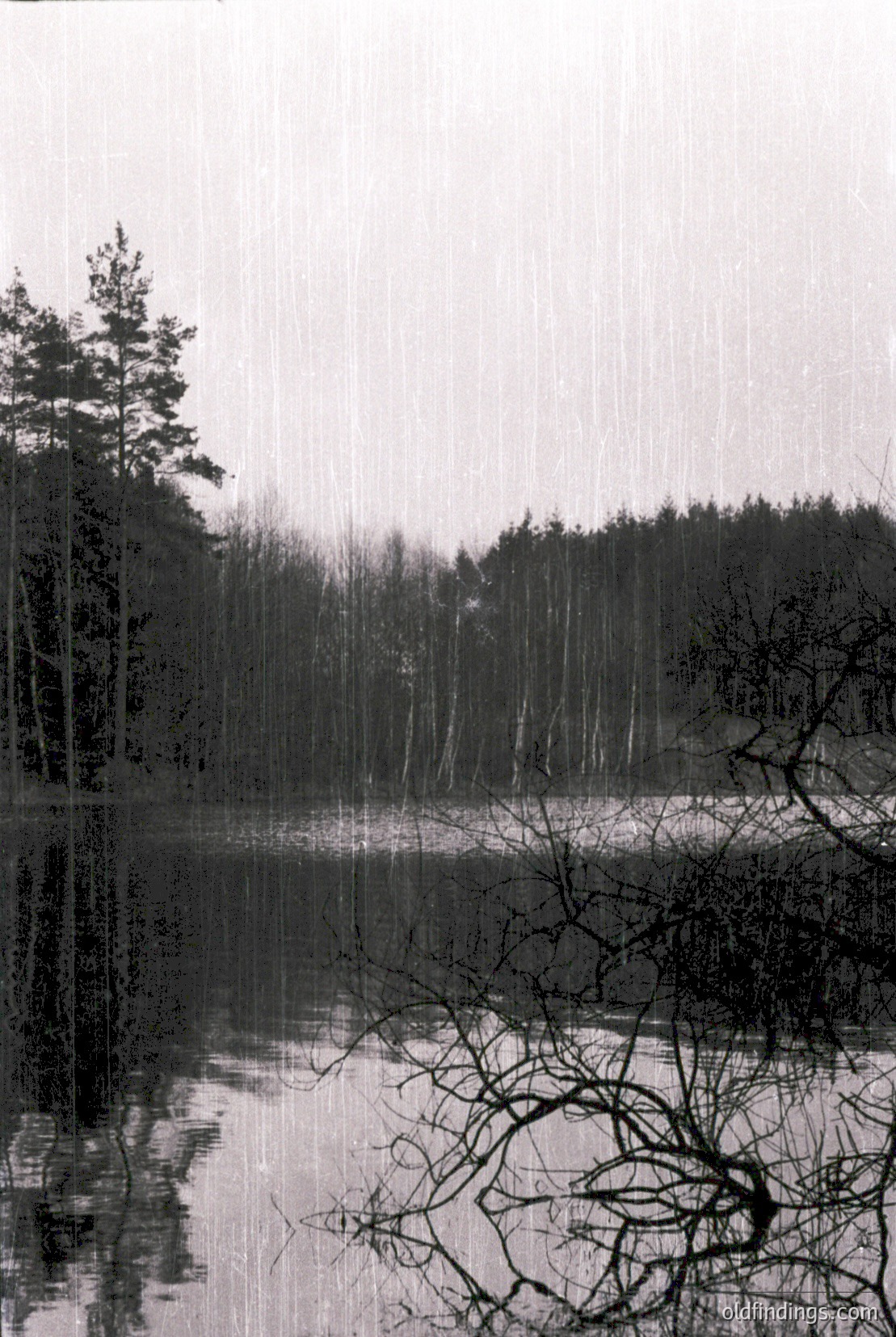 Vintage photograph