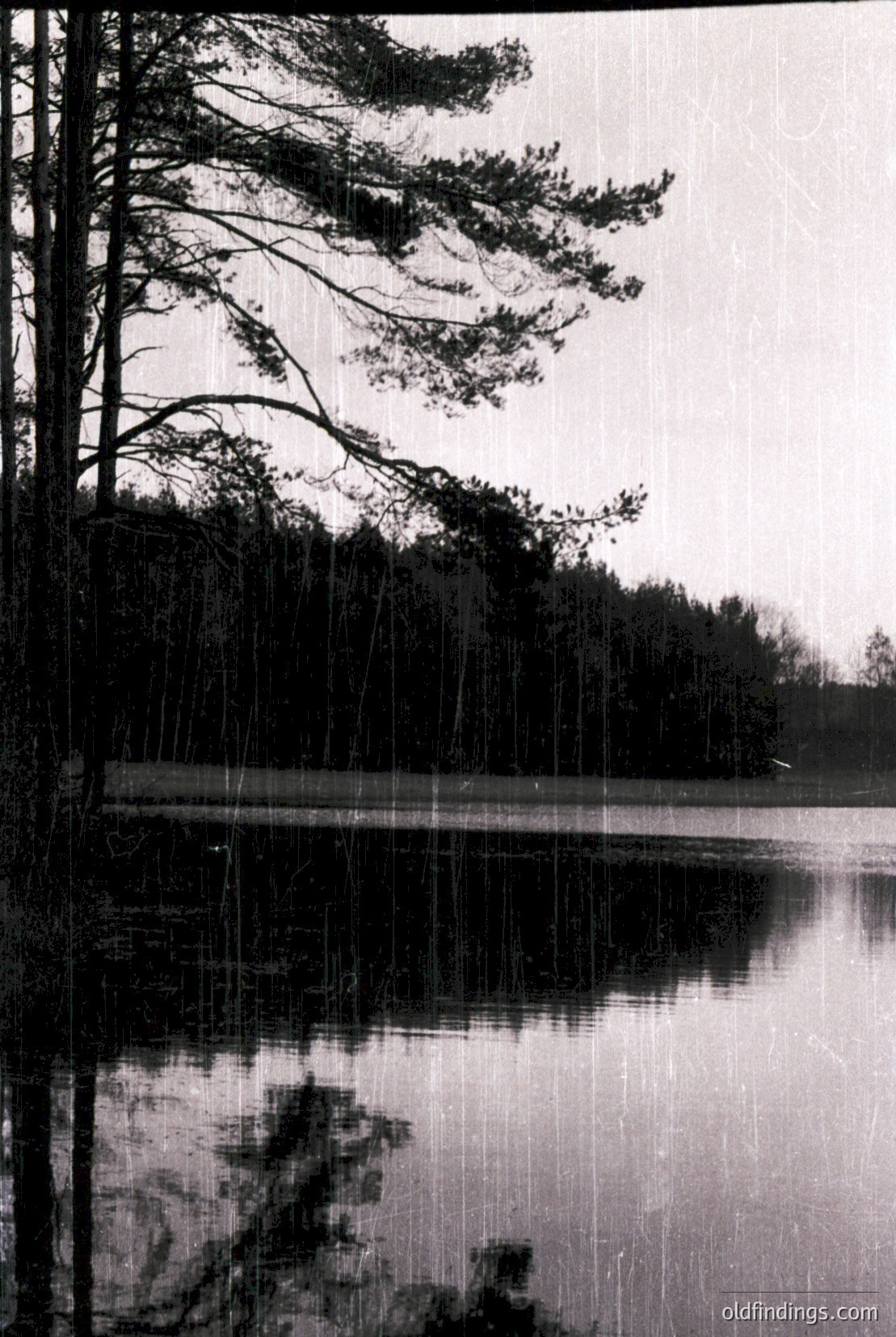 Vintage photograph