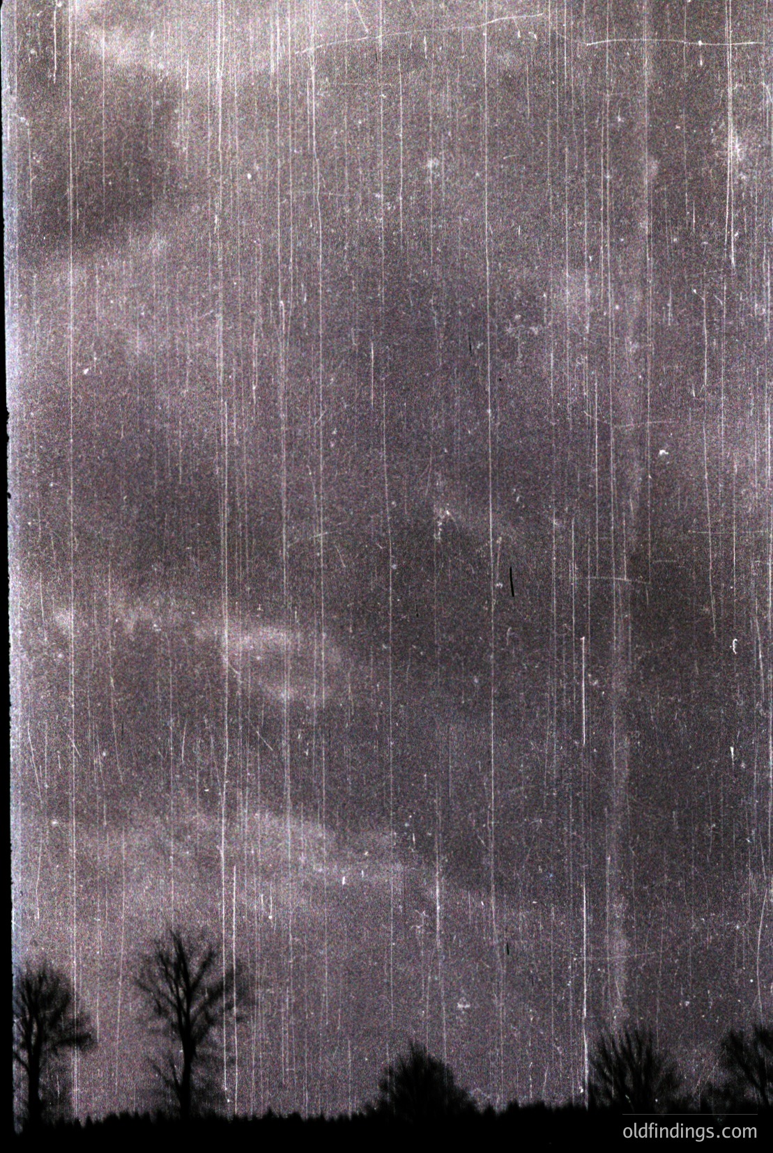 Vintage photograph