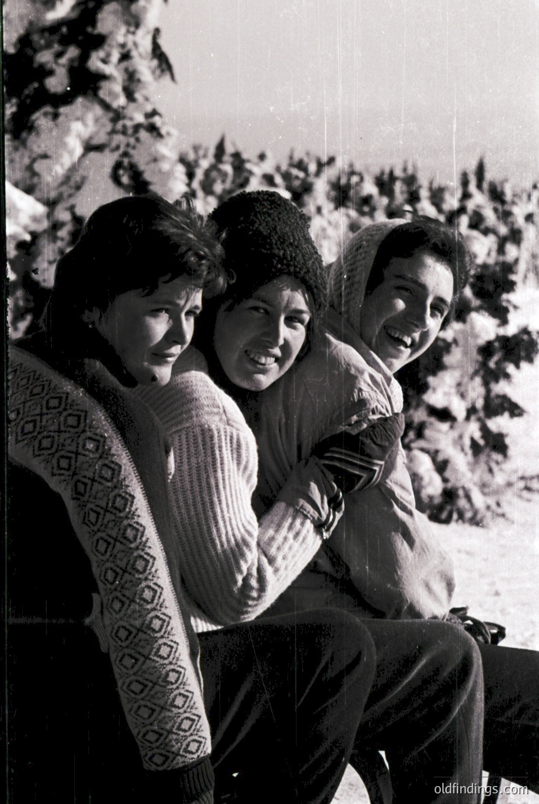 Vintage photograph