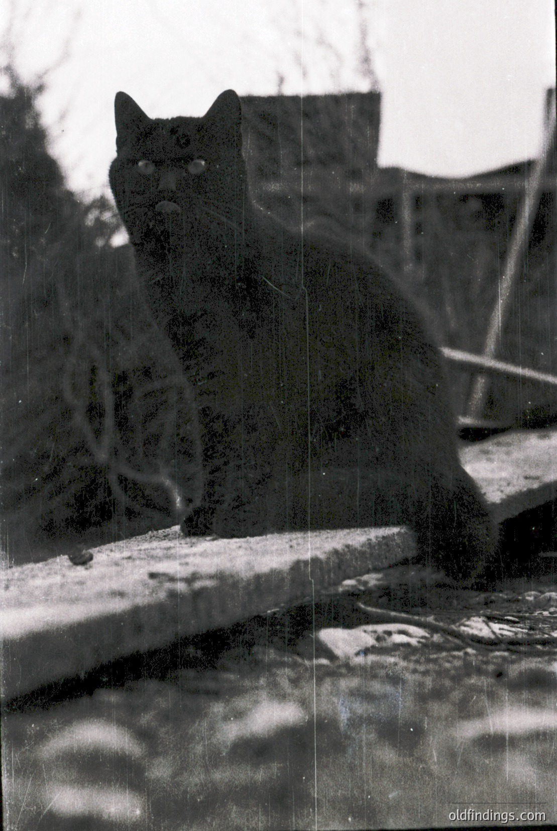 Vintage photograph