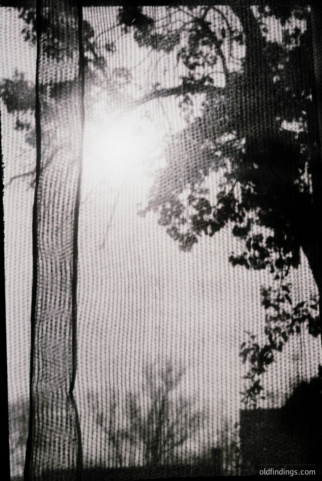 Vintage photograph