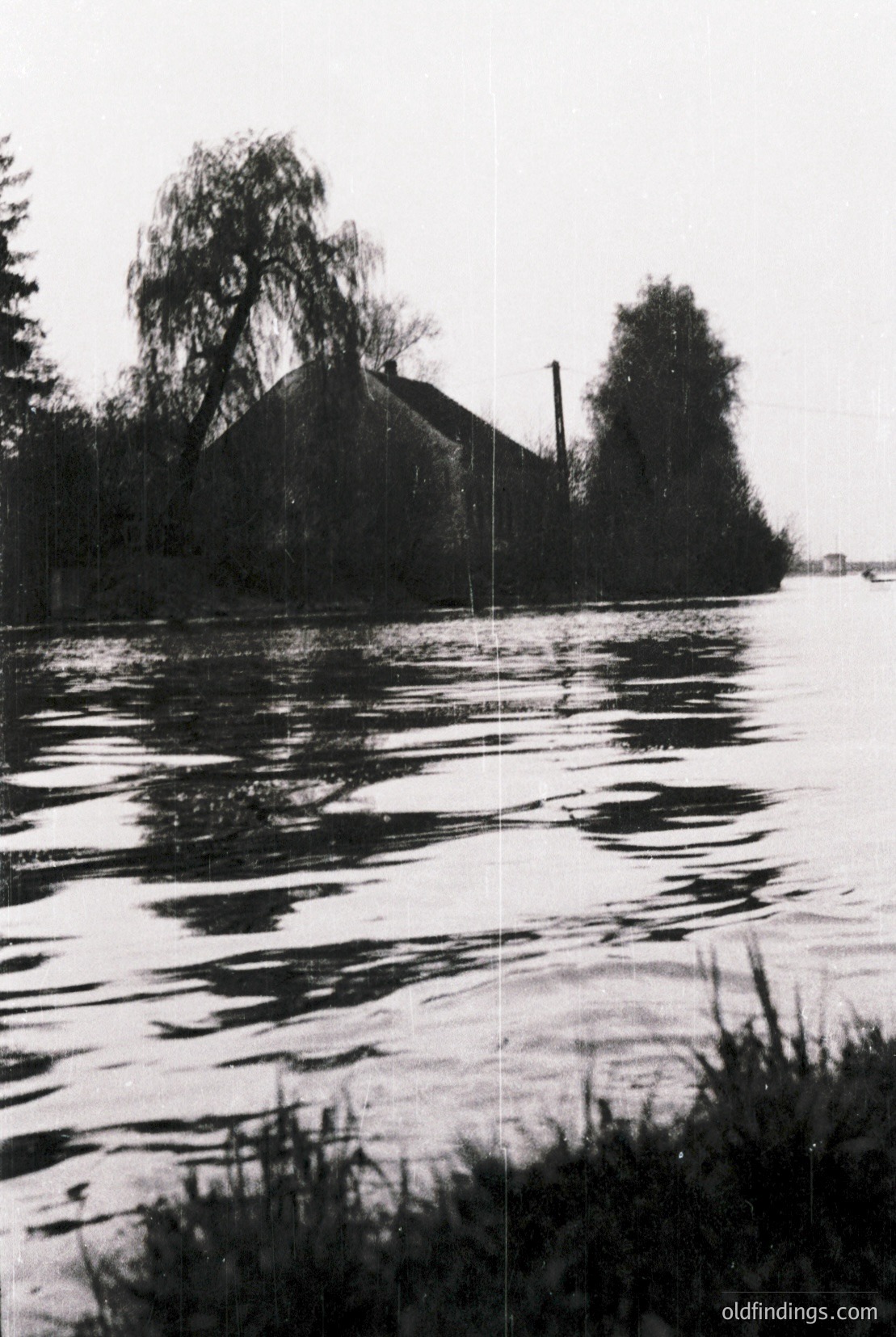 Vintage photograph