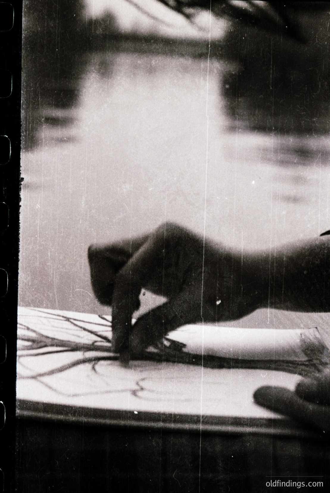 Vintage photograph