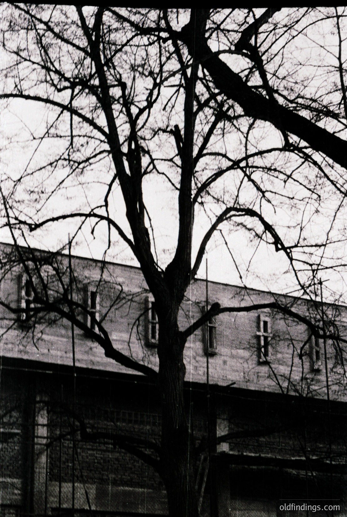 Vintage photograph
