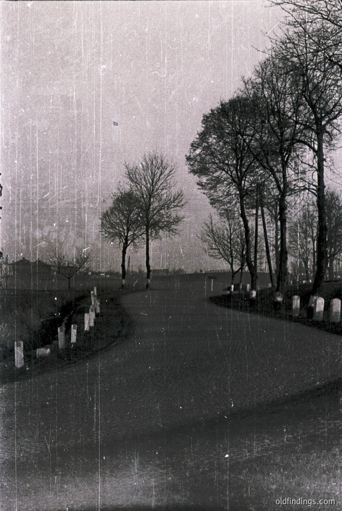 Vintage photograph
