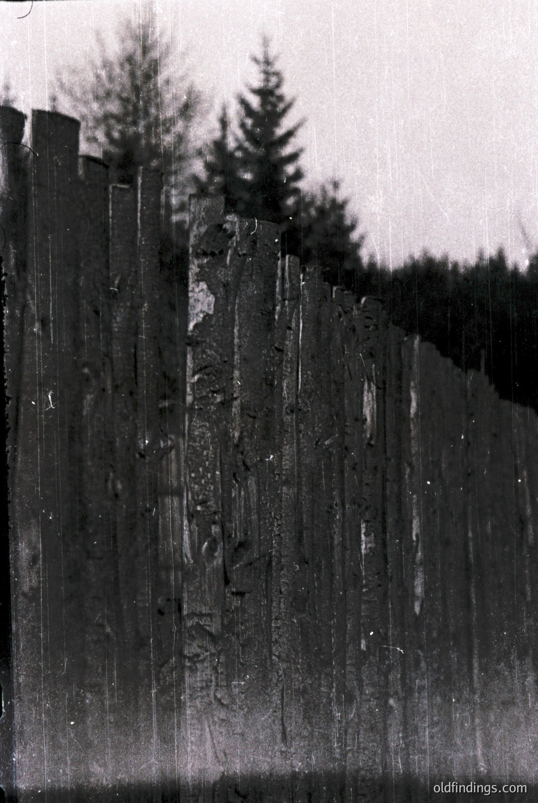 Vintage photograph