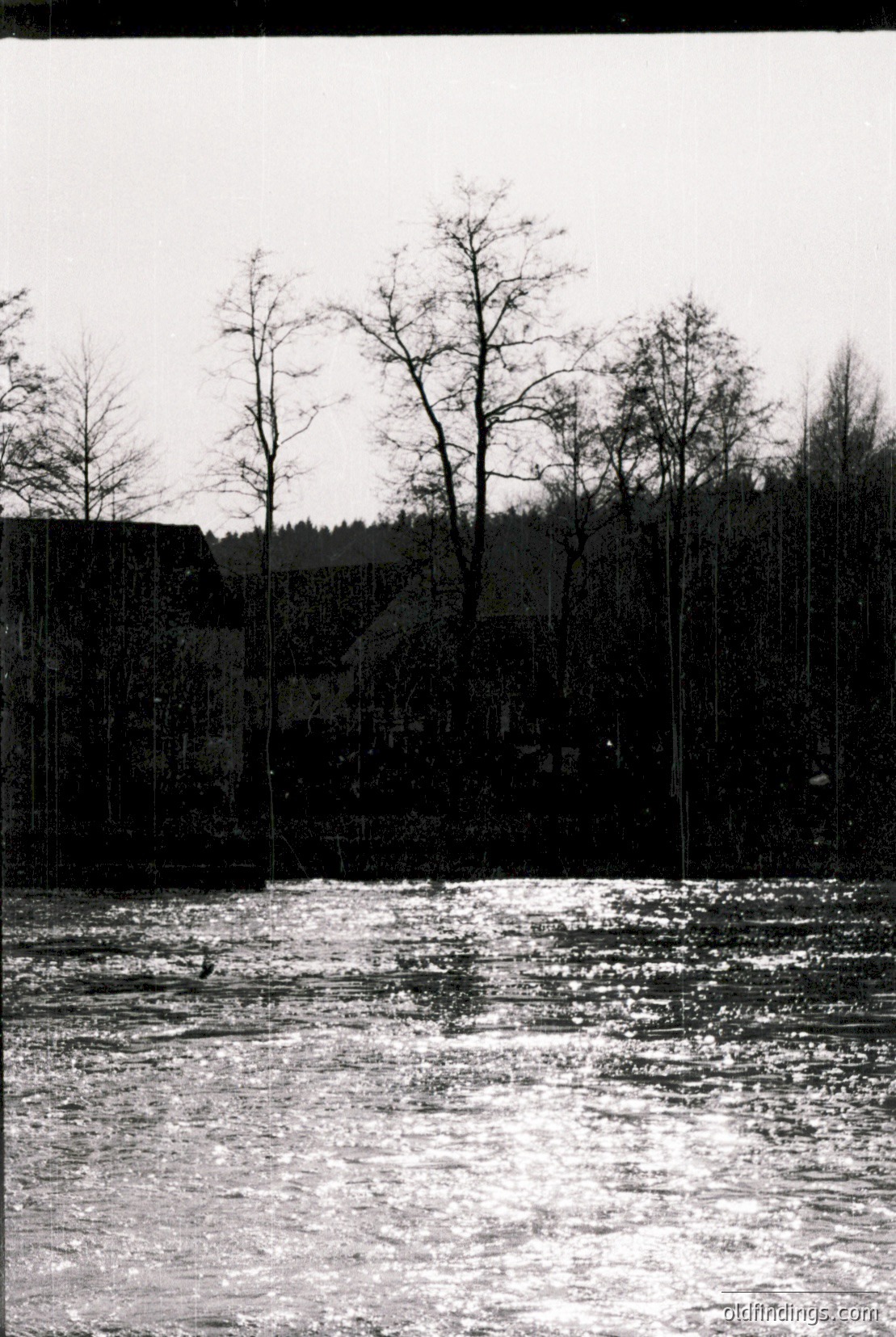 Vintage photograph