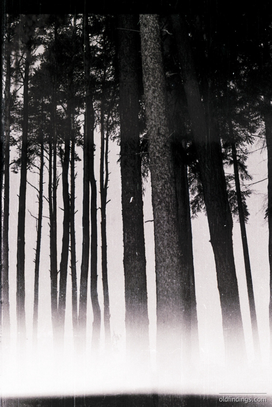 Vintage photograph
