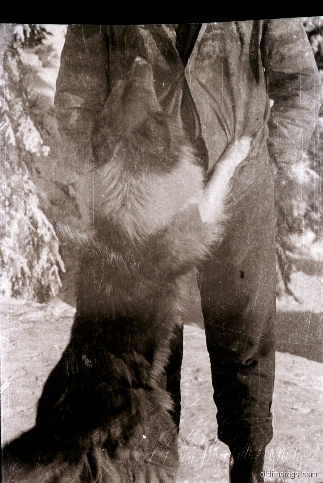 Vintage photograph