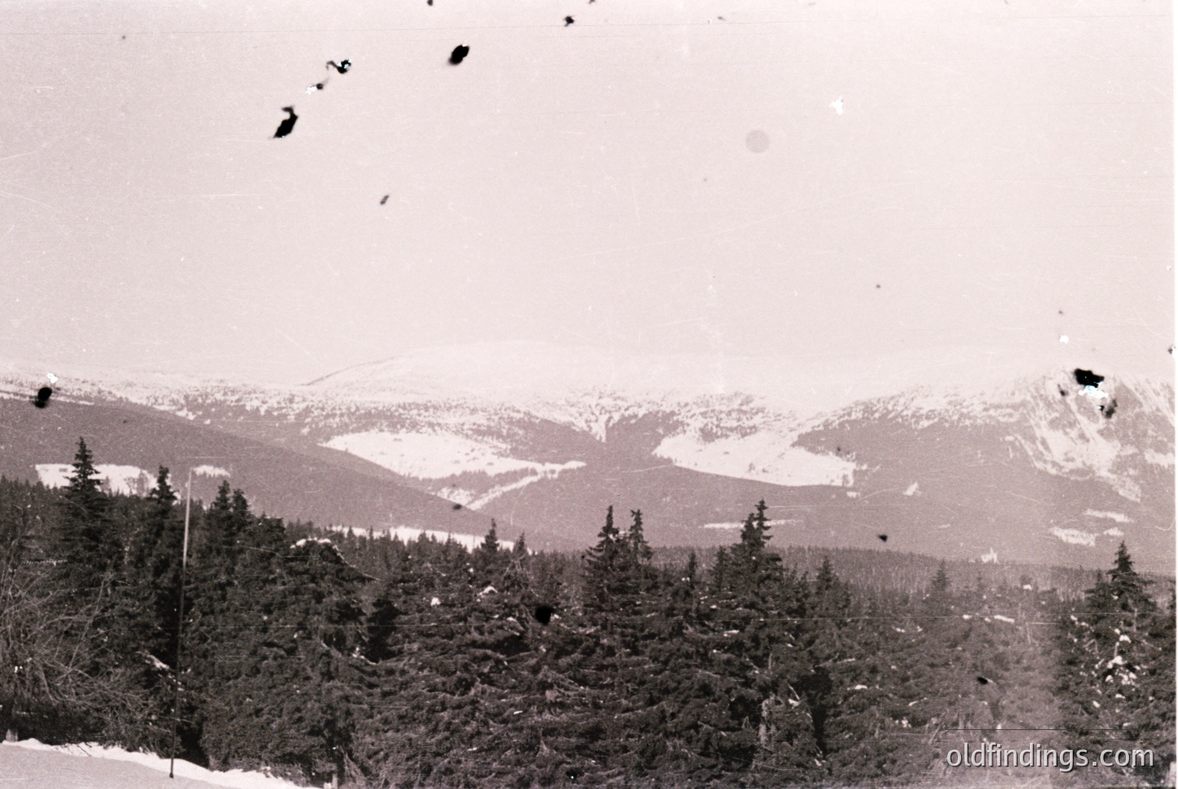 Vintage photograph