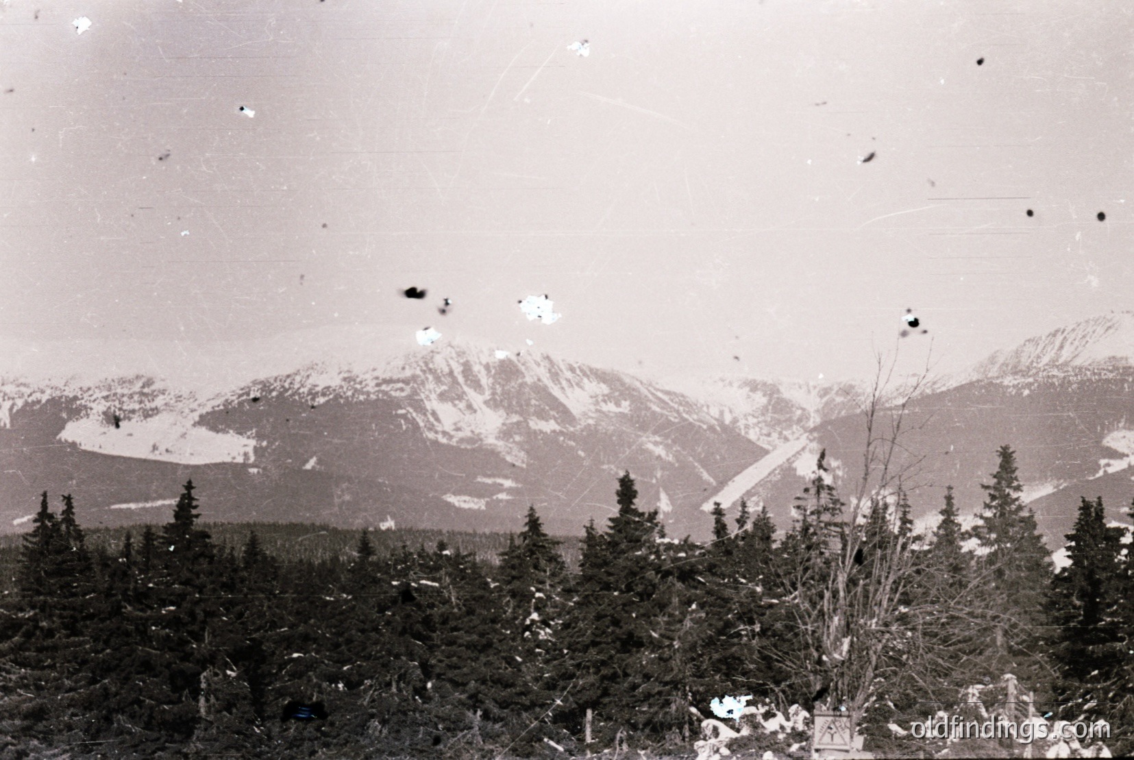 Vintage photograph
