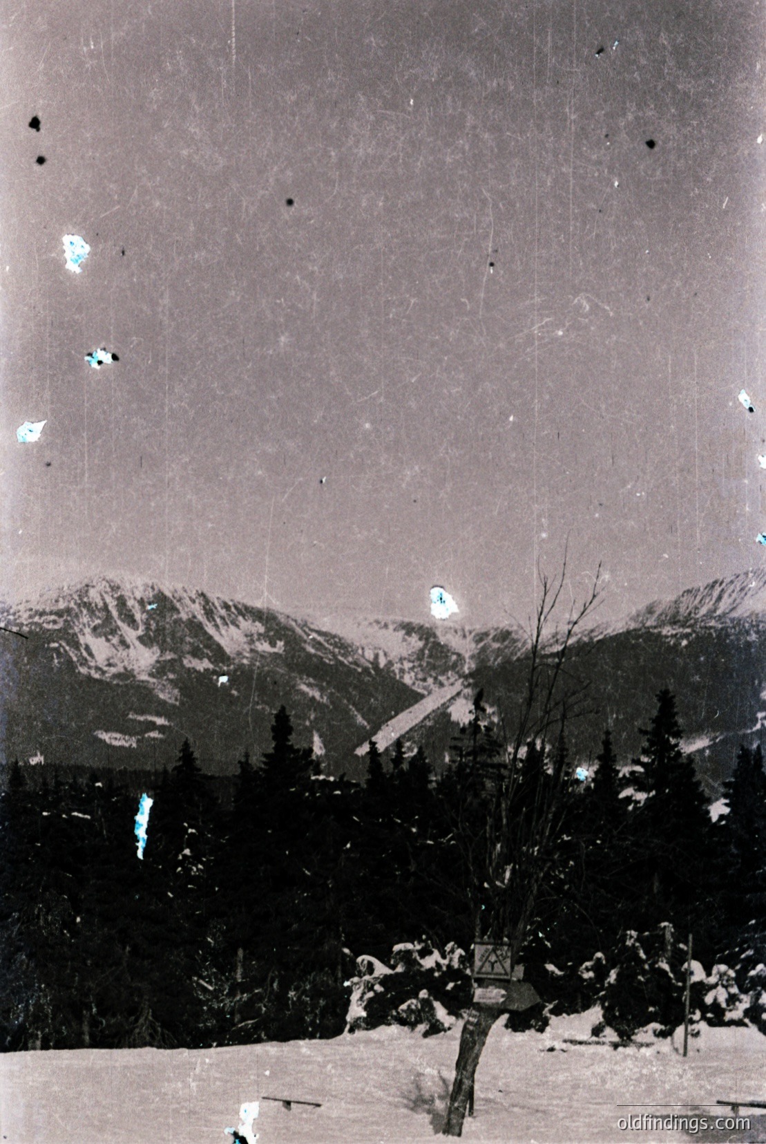 Vintage photograph