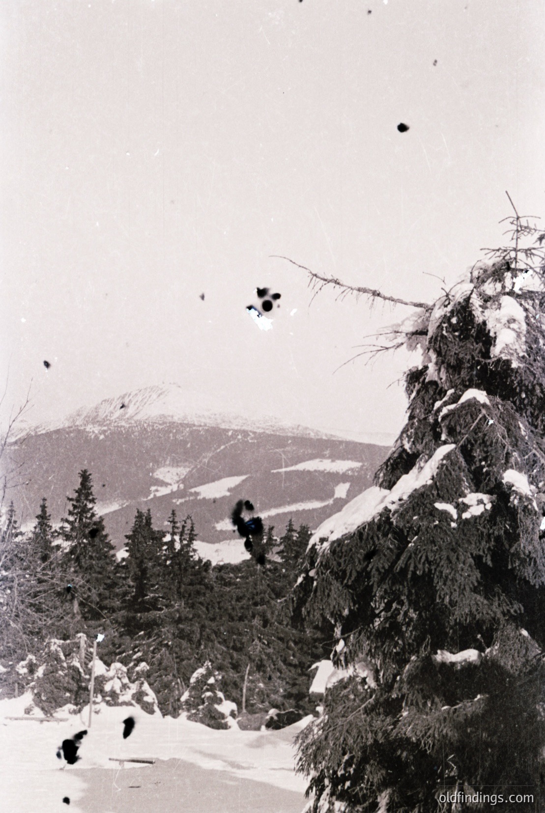 Vintage photograph