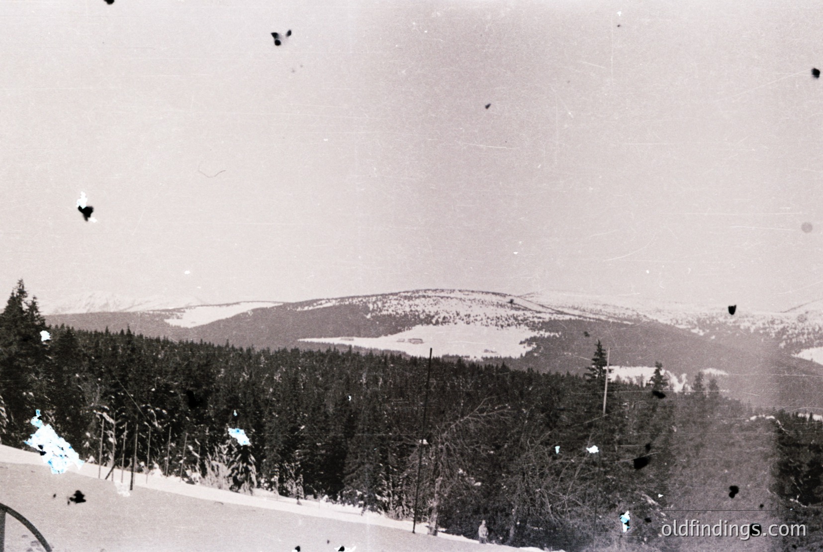Vintage photograph