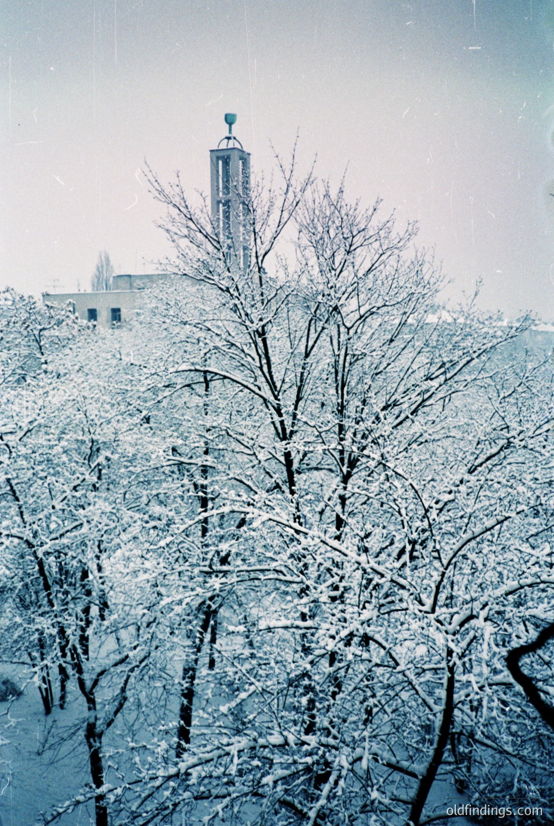 Vintage photograph