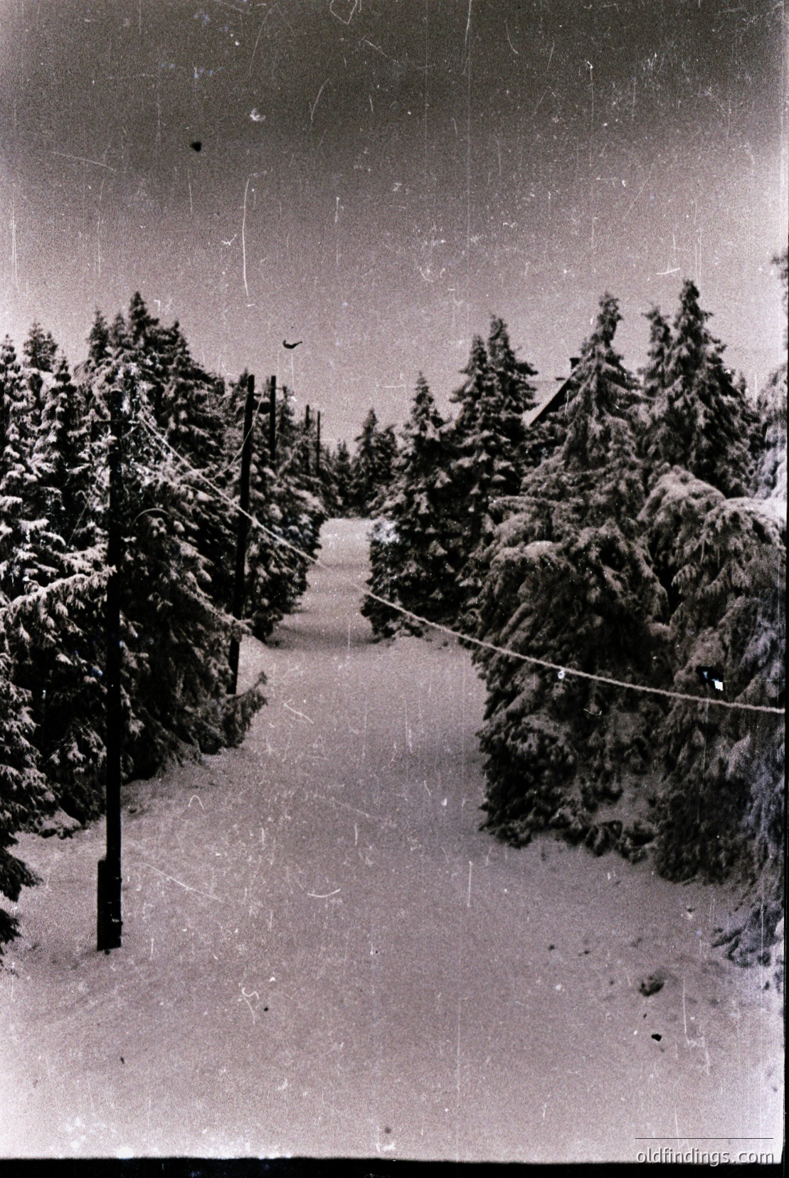 Vintage photograph