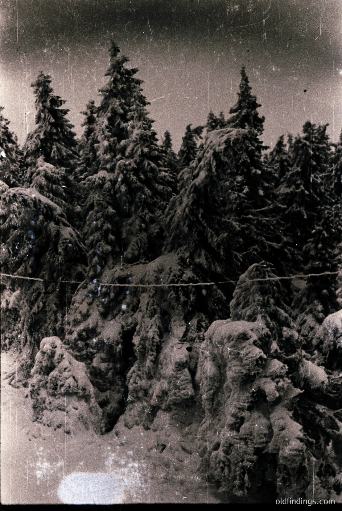 Vintage photograph