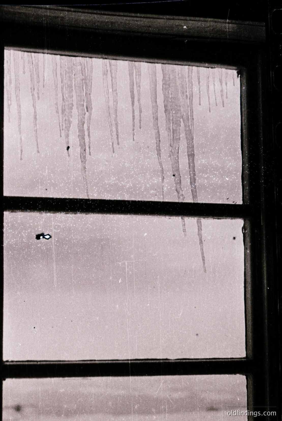 Vintage photograph