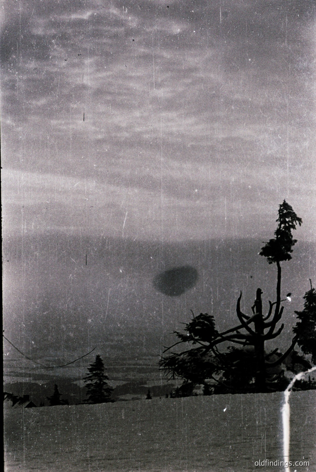 Vintage photograph